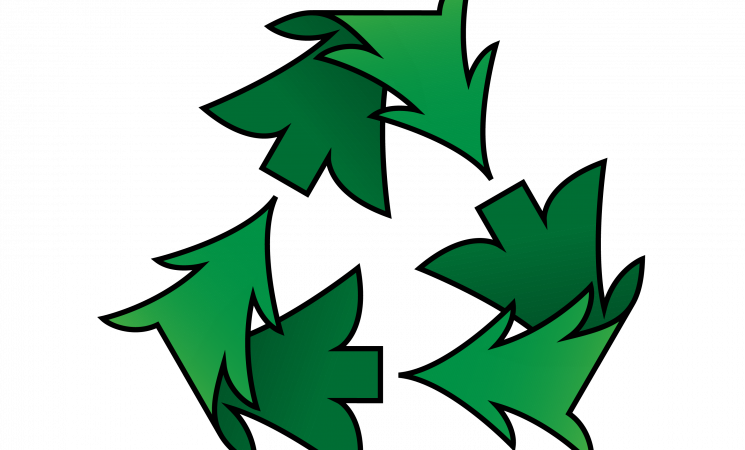 Christmas Tree Pick-up for Wednesday Trash Collection